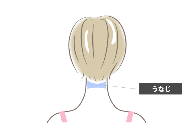 うなじ脱毛の適用範囲