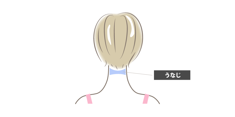うなじ脱毛の適用範囲